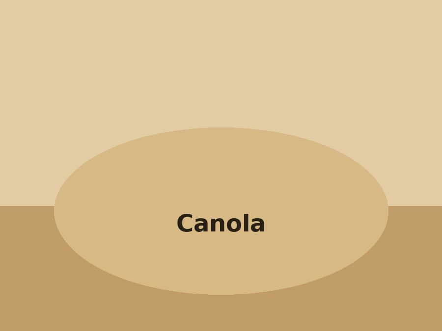 Canola