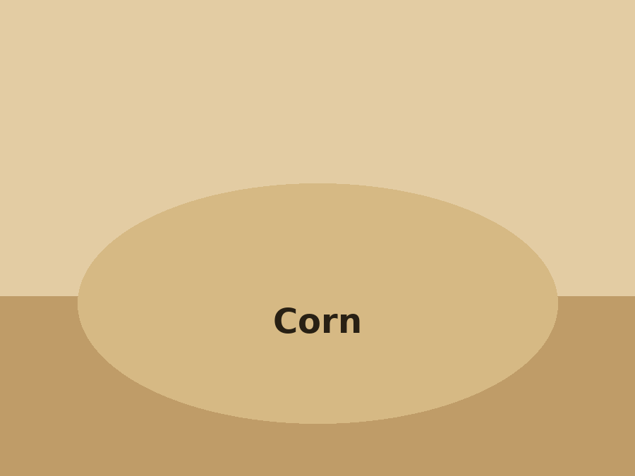 Corn
