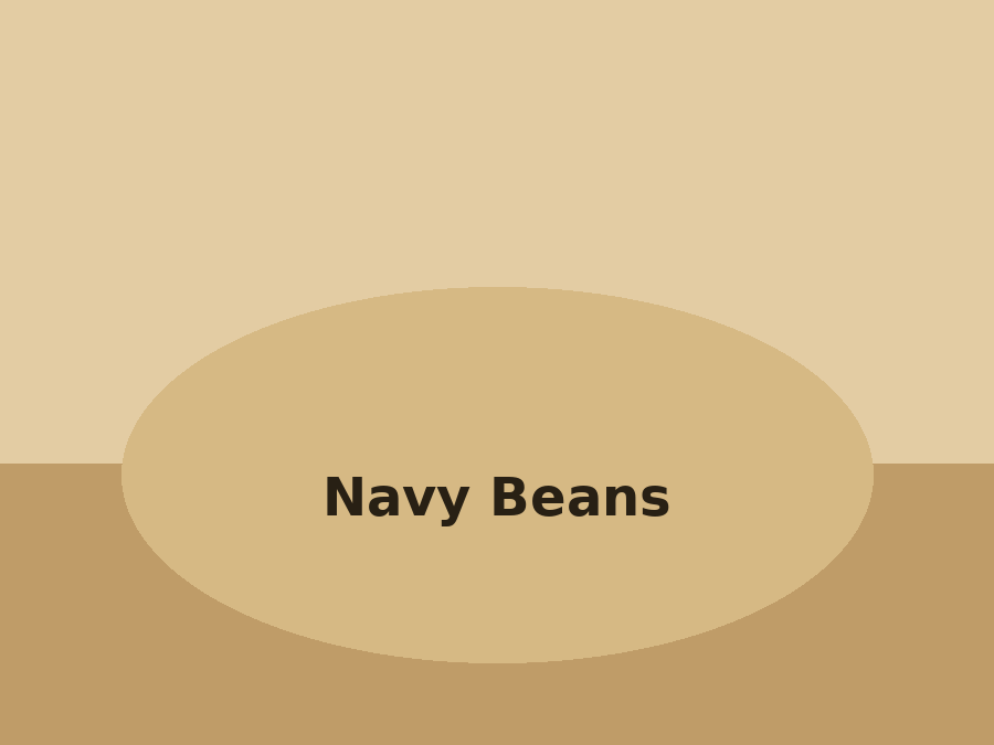 Navy Beans