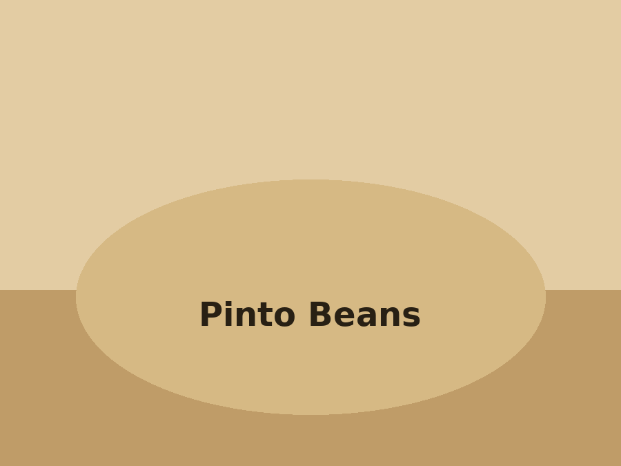 Pinto Beans