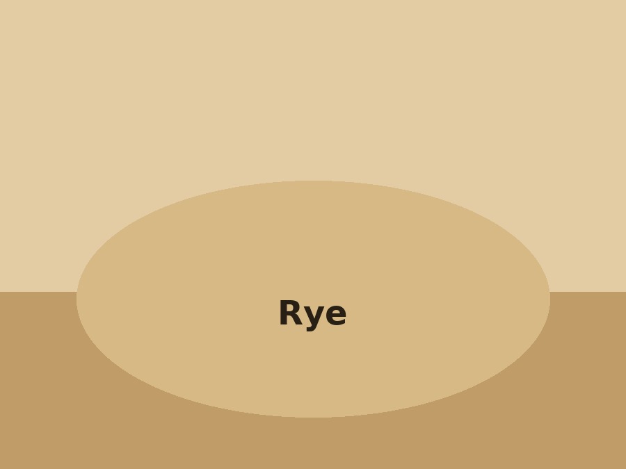 Rye