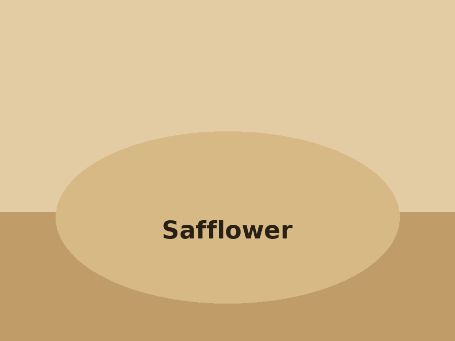 Safflower