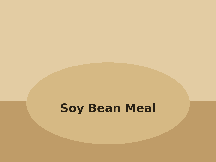 Soy Bean Meal