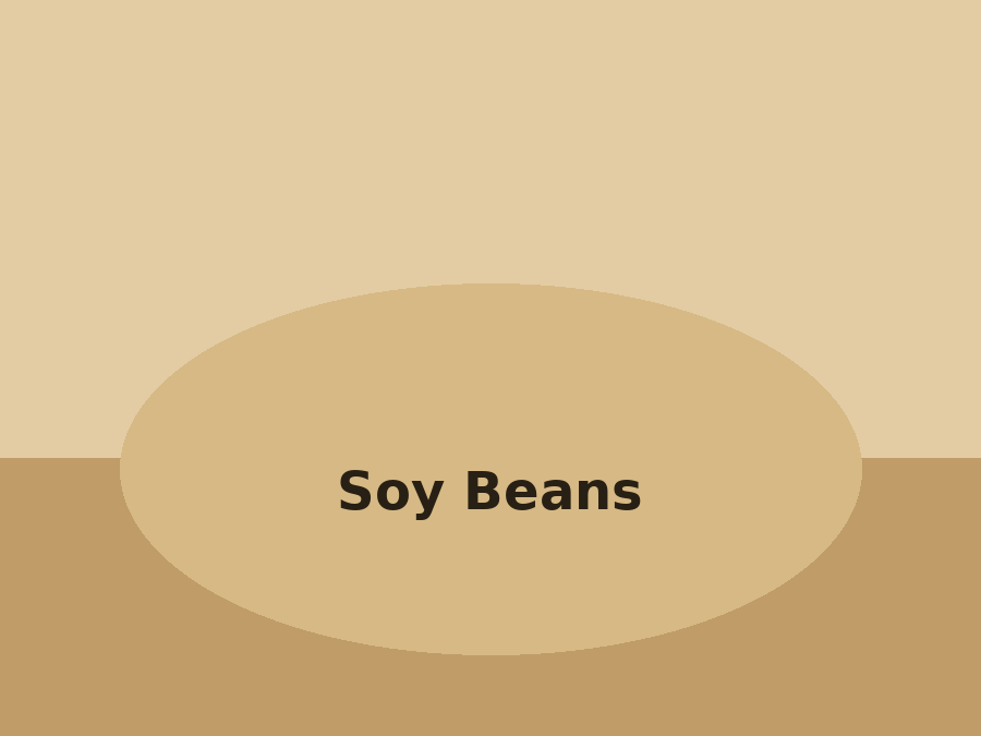 Soy Beans