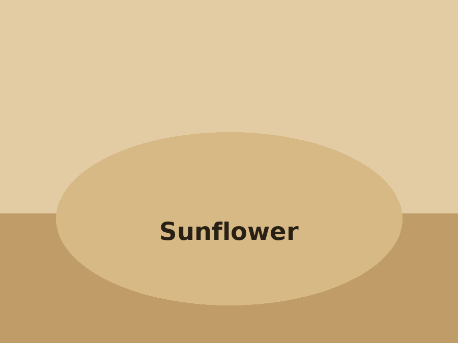 Sunflower