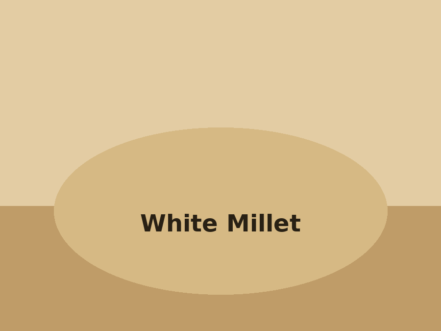 White Millet
